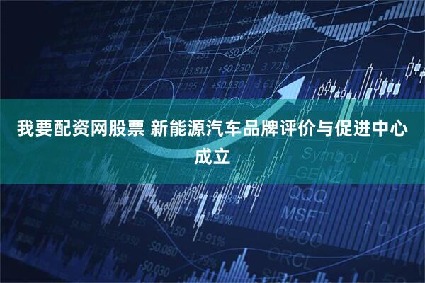 我要配资网股票 新能源汽车品牌评价与促进中心成立