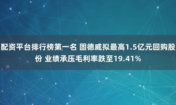 配资平台排行榜第一名 固德威拟最高1.5亿元回购股份 业绩承压毛利率跌至19.41%