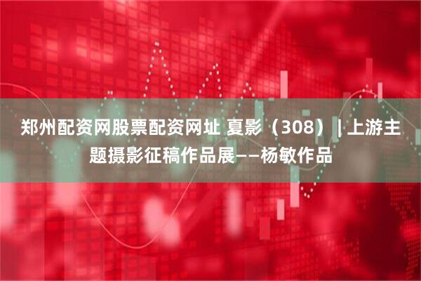 郑州配资网股票配资网址 夏影(308) | 上游主题摄影征稿作品展——杨敏作品