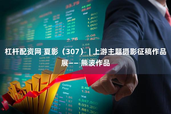 杠杆配资网 夏影（307） | 上游主题摄影征稿作品展—— 熊波作品
